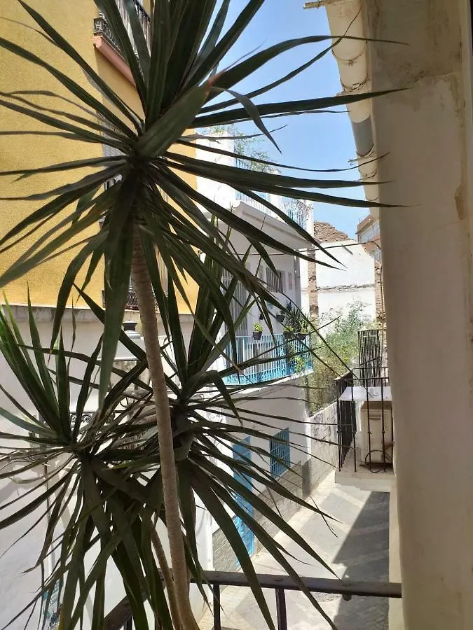 David Malaga Apartments